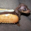 hotdog