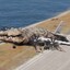 bombardilo krokodilo