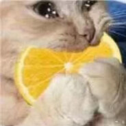 马抢怪绝不马枪=-=