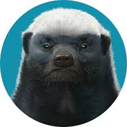 AFACAN avatar