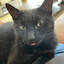 meneer stoer