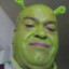 ShreksGreenFartLover ᵏʸˢ