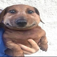 cheddar cheese