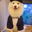 Mr.Mubox