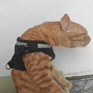 FRCZTBYT3 avatar