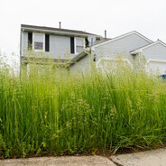 UnCutGrass