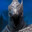 Artorias's avatar