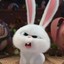 Rabbitcarzy