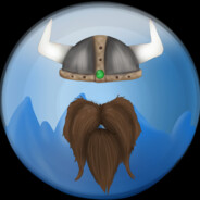 TheBeardedViking