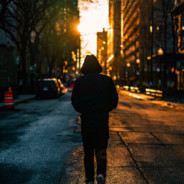 鼻子顶豆  舌头分肉