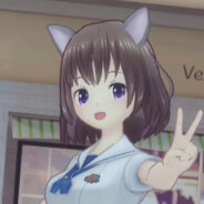 一天操佩洛西九次