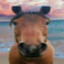 конструктор член's avatar
