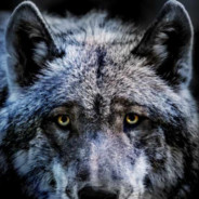 Er4GoN - steam id 76561199010304726