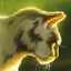 Darktail