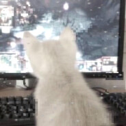 kaeg's avatar