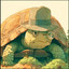 Toad