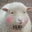 广坤儿