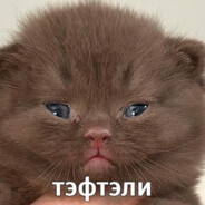 дубащитко🤙