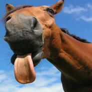 конская смазка - steam id 76561199773968838