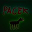 Pacek