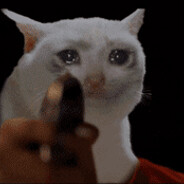 不会cs的猫学长