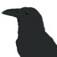 Bird_thatshits-onyourcar