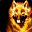 FireDracen