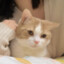 七七miao