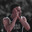 Curry_30