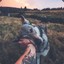 Eriuser