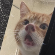 Mnih's avatar
