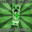 mister creeper