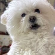 果粒果粒果粒橙