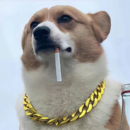 玩家头像