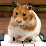 MrKewciu