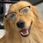 巴赫利安
