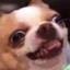 Binopy