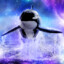 Space Orca