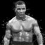 Kick Boxer
