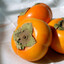 persimmons