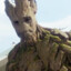 I am Groot