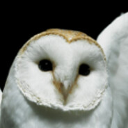 eternal shadow of regret