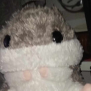 햄스터 CSGOSKINsCASE.GIft