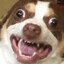 Mr Bubz