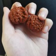 每天都得盘核桃