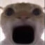 废狗团长