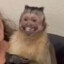 JP