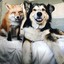 Fox and Dog