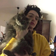 猪猪乐园小呆呆