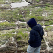 翻斗花园稀里糊涂